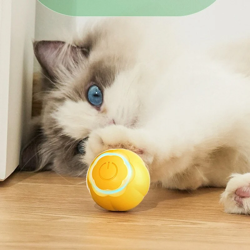Smart Cat Toys Automatic Rolling Ball Electric Pet Toys For Cats