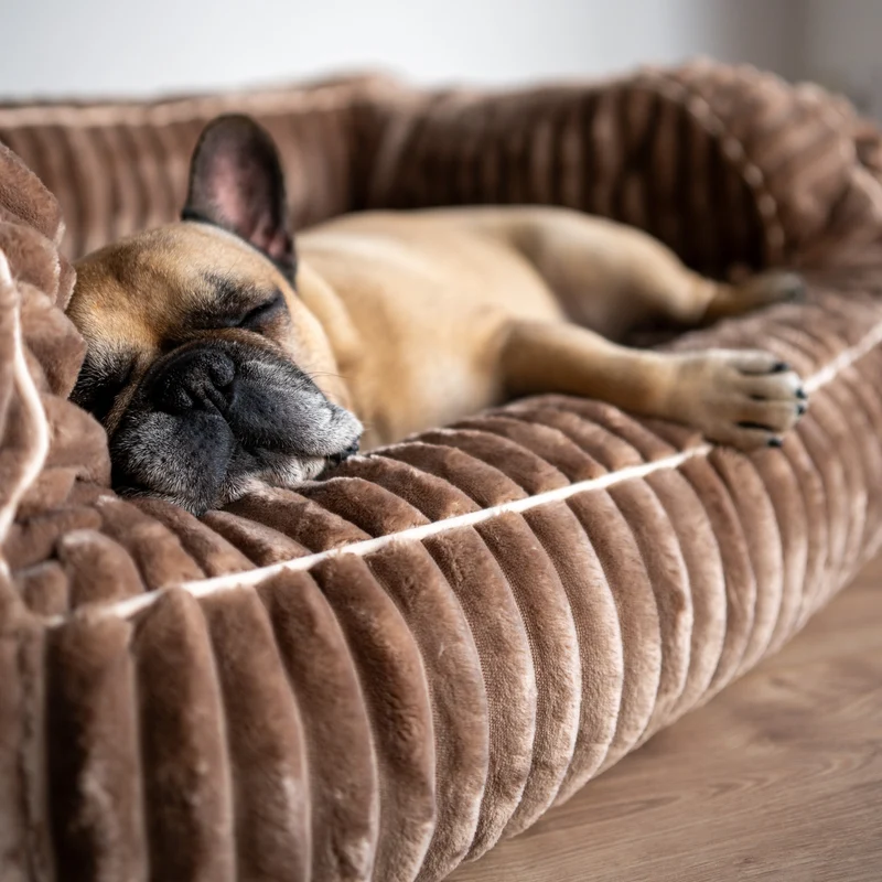 Orthopädisches Hundebett CLOUDY - drei Größen