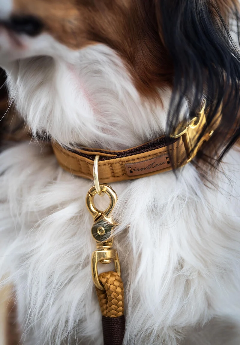 Halsband Softie KARAMELL