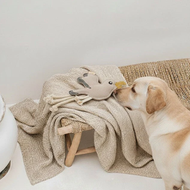 BUDDY. Hundespielzeug aus Leder "Möwe"