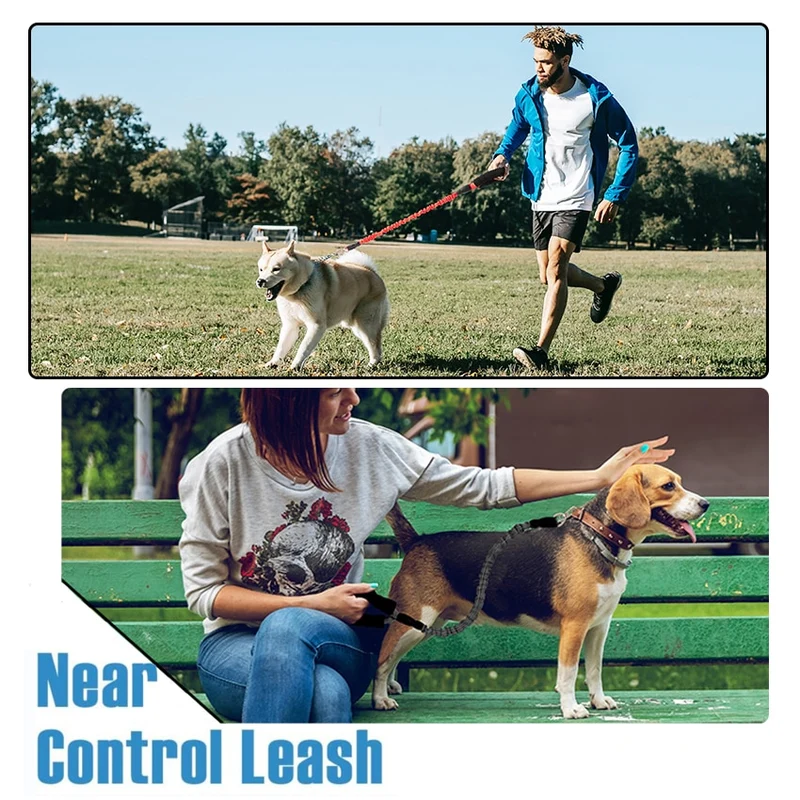 Dog Leash Elastic Reflective Pet leashes
