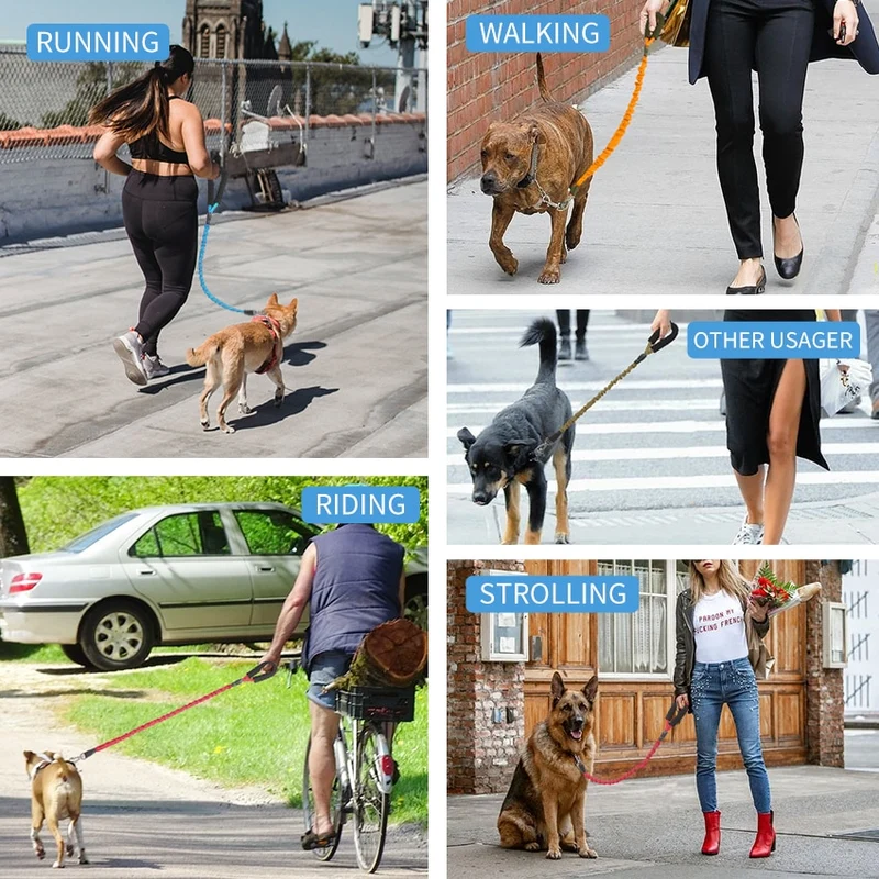 Dog Leash Elastic Reflective Pet leashes