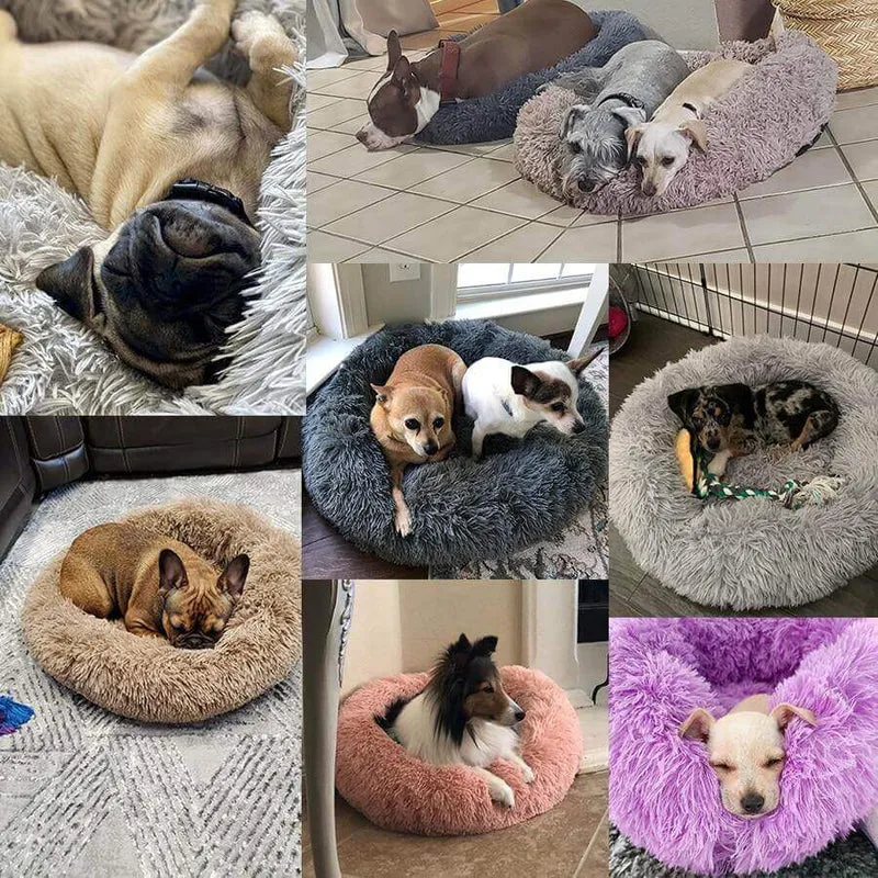 Cozy Calming Pet Bed