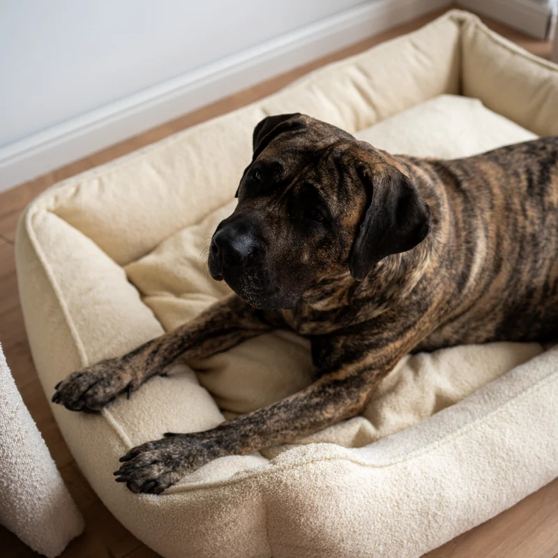 Orthopädisches Hundebett TEDDY – Größe L