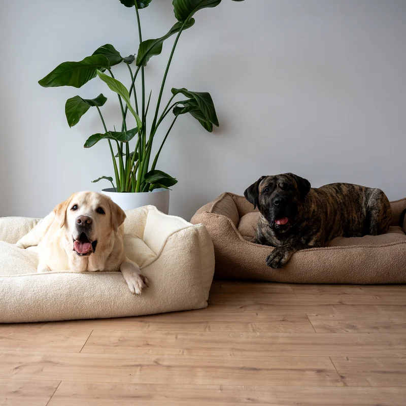 Orthopädisches Hundebett TEDDY – Größe L