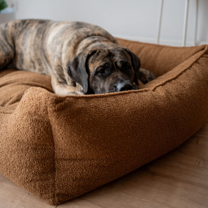 Orthopädisches Hundebett TEDDY – Größe L