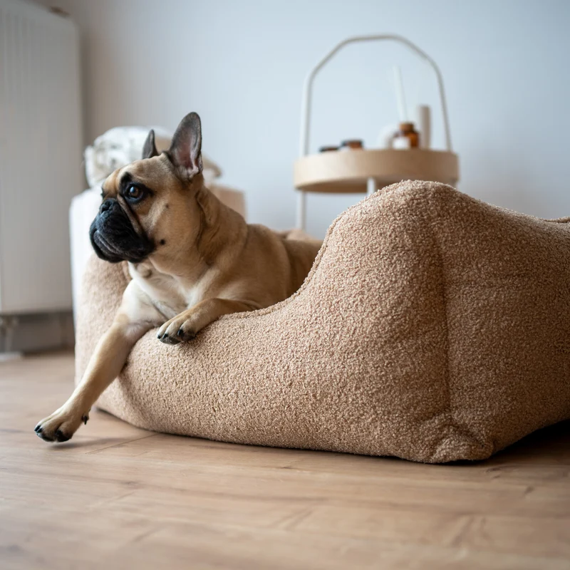 Orthopädisches Hundebett Teddy – Größe S