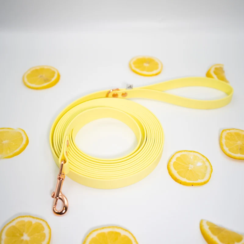 5-Meter BioThane® Trainingsleine für Hunde