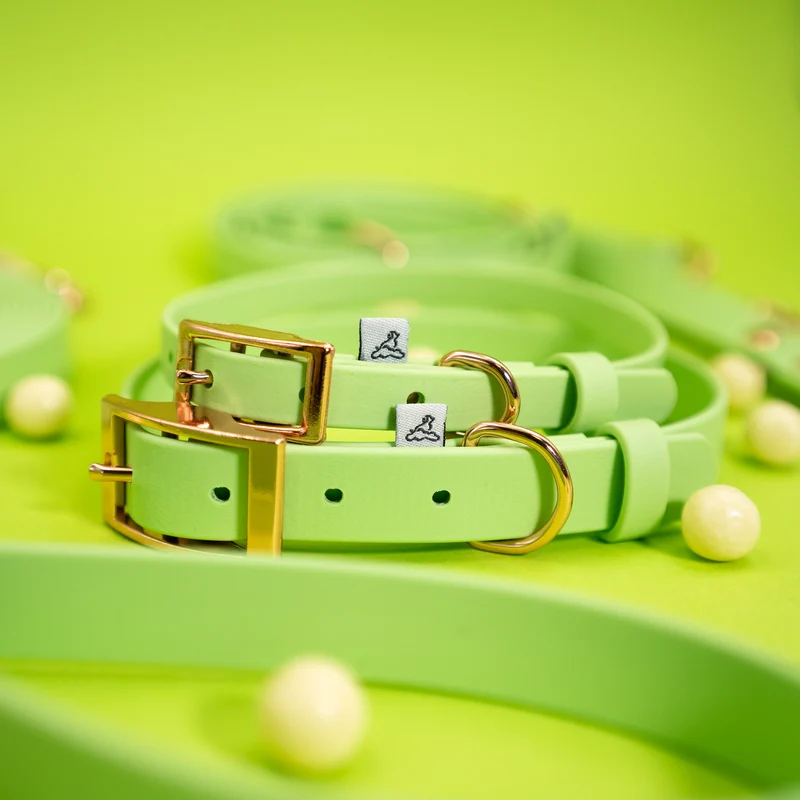 BioThane® Hundehalsband