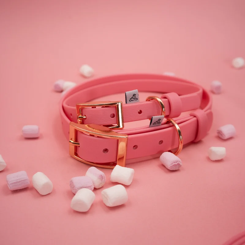 BioThane® Hundehalsband