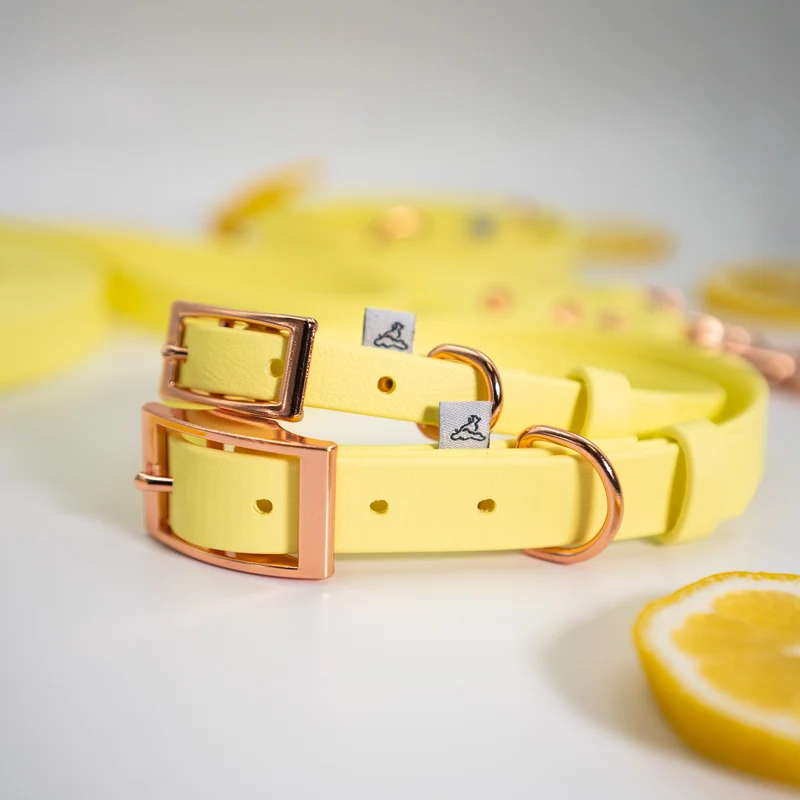 BioThane® Hundehalsband