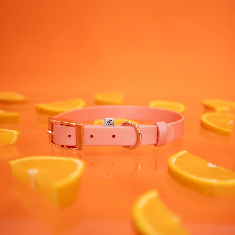 BioThane® Hundehalsband