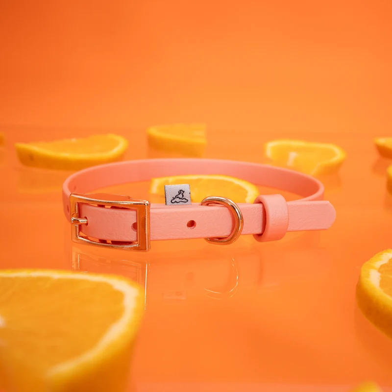 BioThane® Hundehalsband