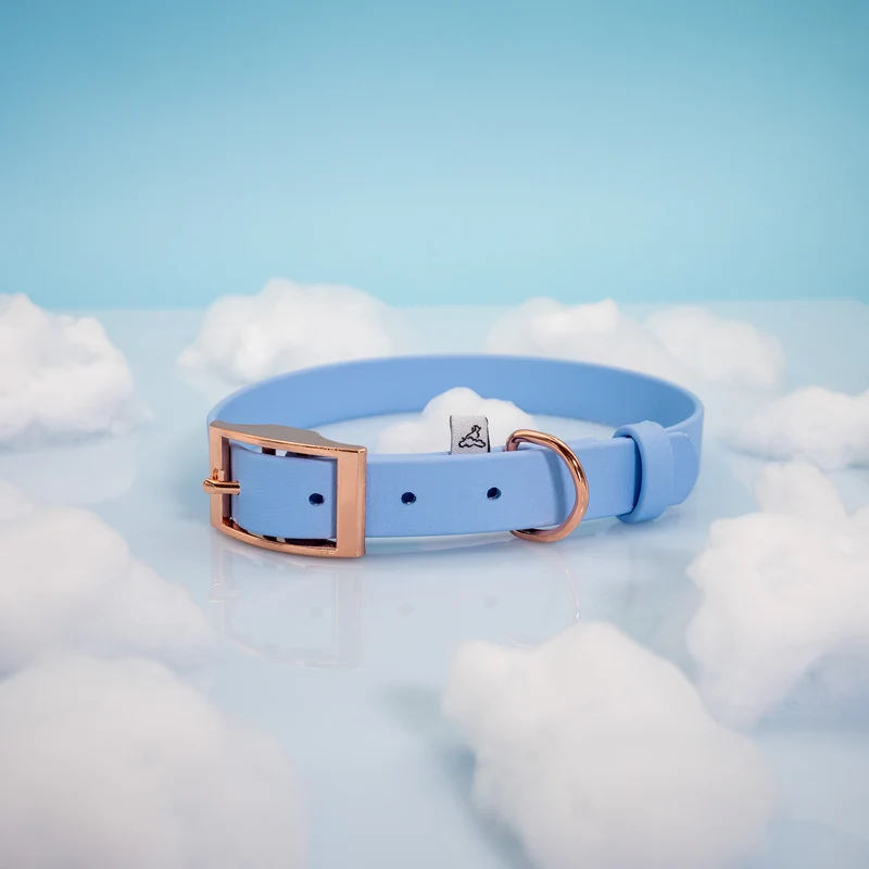 BioThane® Hundehalsband