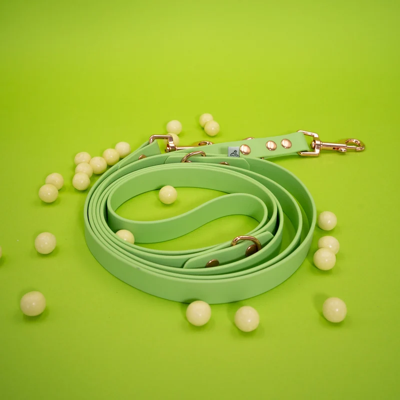 BioThane® Verstellbare Hundeleine