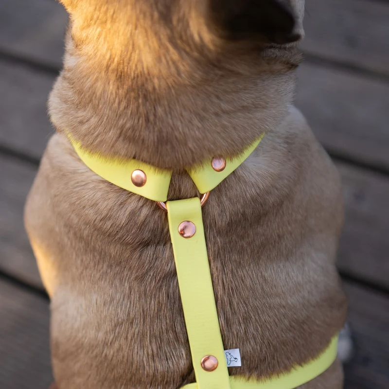 BioThane® Classic Guard Hundegeschirr