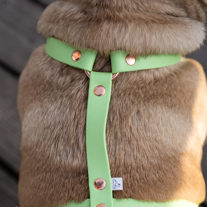 BioThane® Classic Guard Hundegeschirr