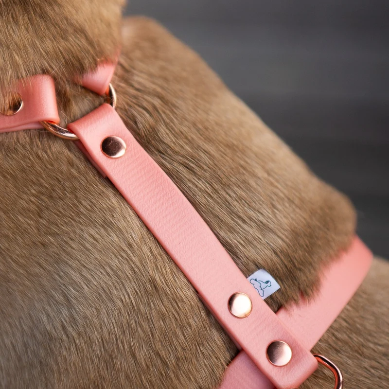 BioThane® Classic Guard Hundegeschirr
