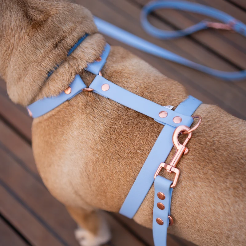BioThane® Classic Guard Hundegeschirr