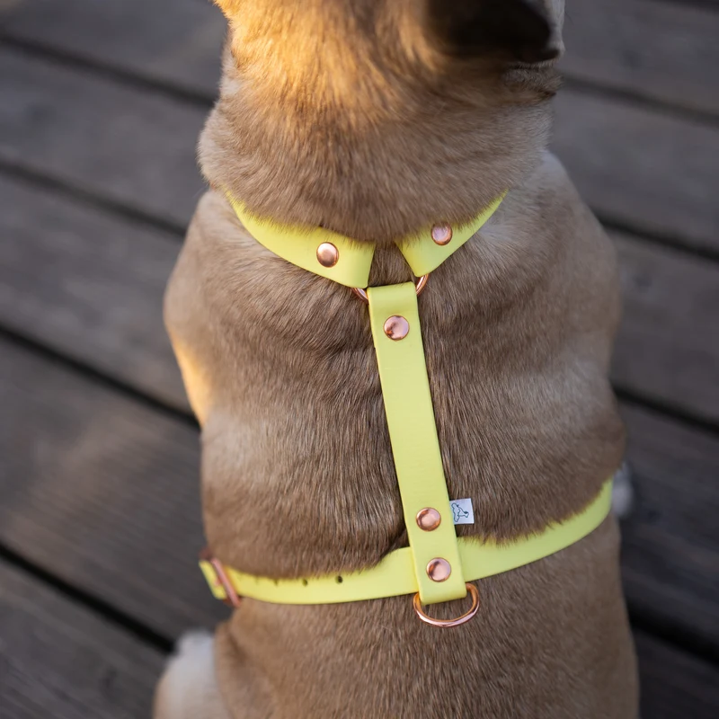 BioThane® Classic Guard Hundegeschirr