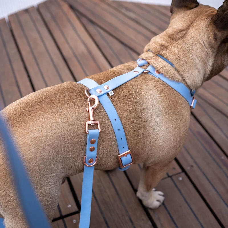 BioThane® Guard Hundegeschirr