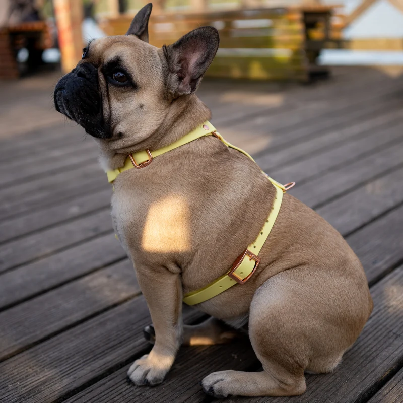 BioThane® Guard Hundegeschirr