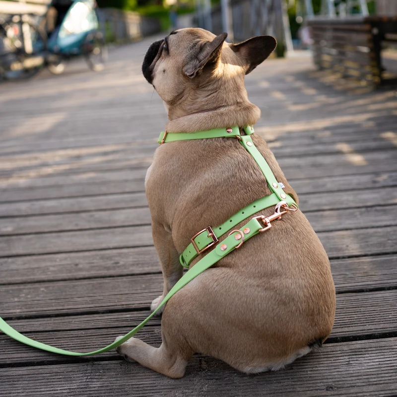BioThane® Guard Hundegeschirr