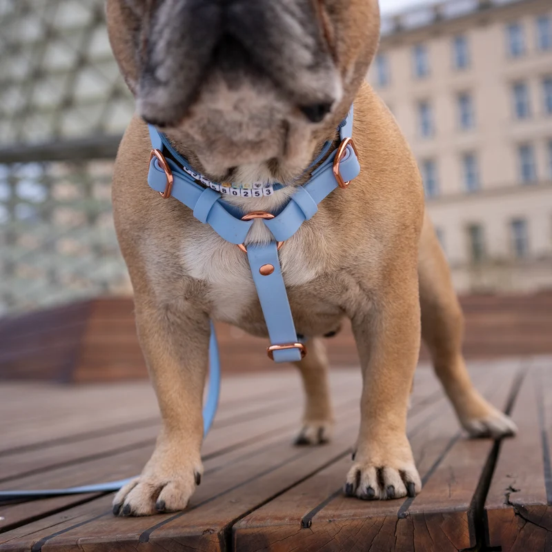 BioThane® Guard Hundegeschirr
