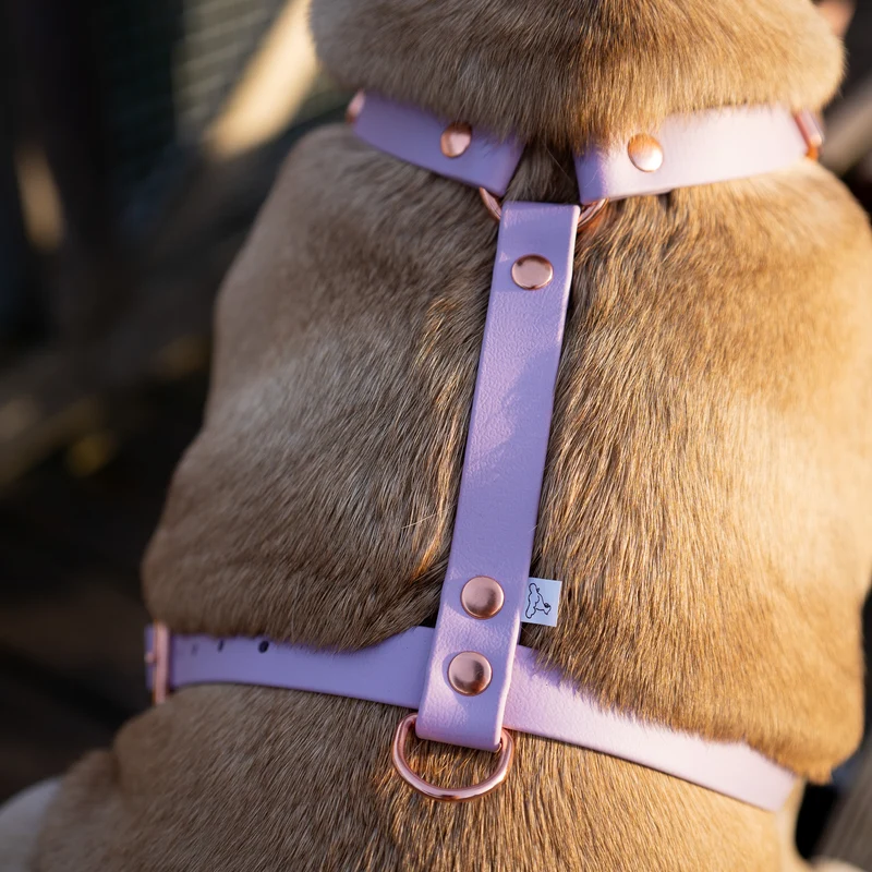 BioThane® Guard Hundegeschirr