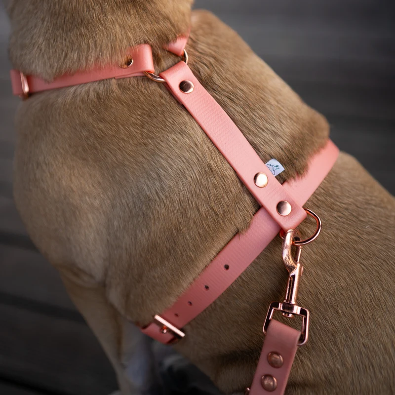 BioThane® Guard Hundegeschirr