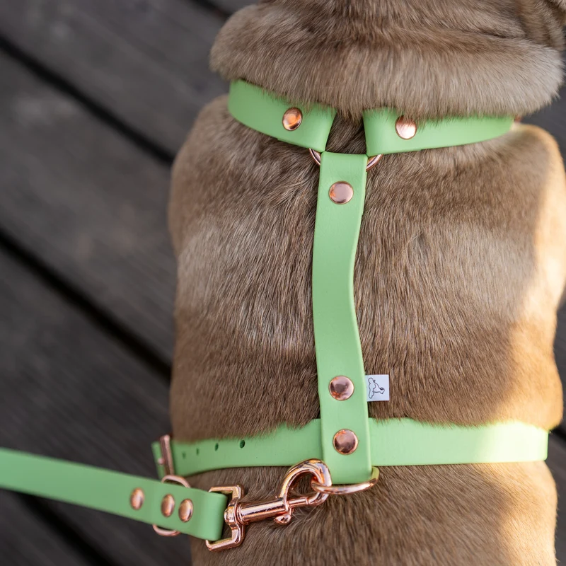 BioThane® Guard Hundegeschirr