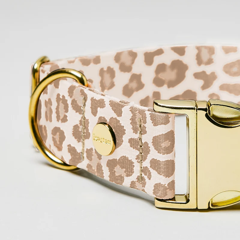 Welpenhalsband GOLDEN LEO