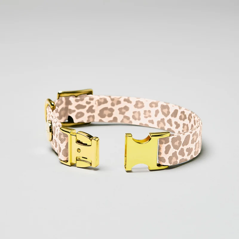 Welpenhalsband GOLDEN LEO