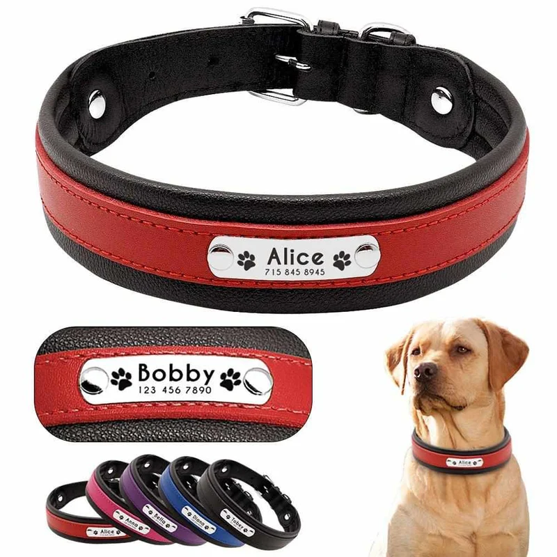 Mehrfarbiges Hundehalsband mit Namen aus Leder, gratis Gravur