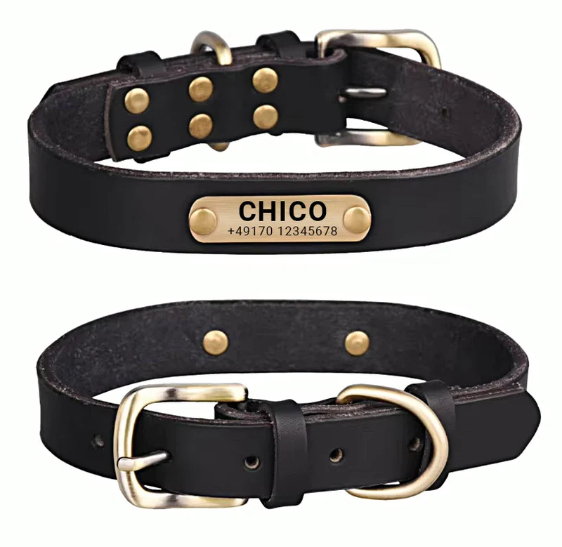 Echtleder Hundehalsband mit Messingschnalle in vier Farben und gratis Gravur Name und Telefon
