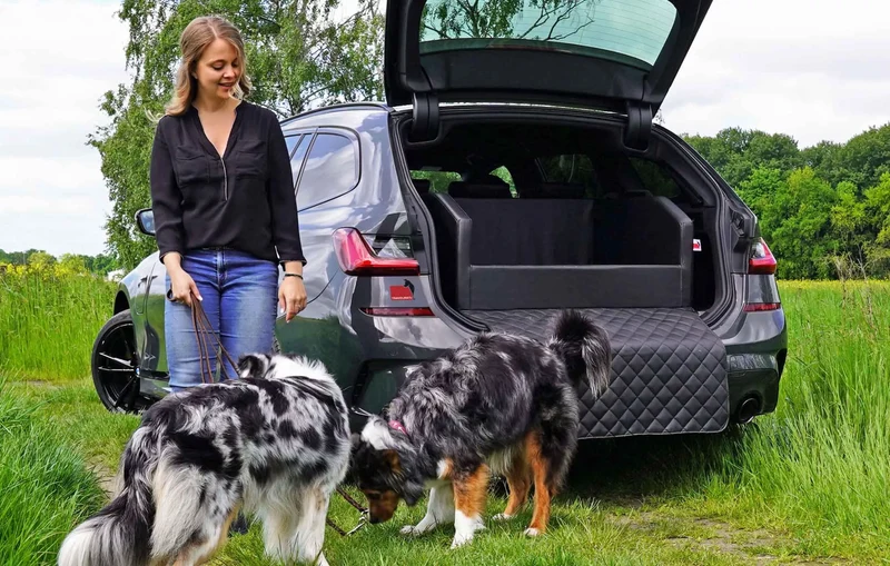 mypado Transportbox TRAVELMAT® Plus