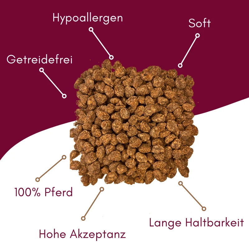 Meaty's Pferd