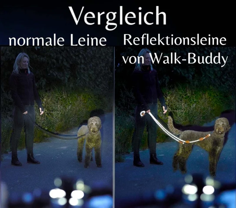 Reflektionsleine GLOW stark reflektierend mit Handschlaufe und vegan