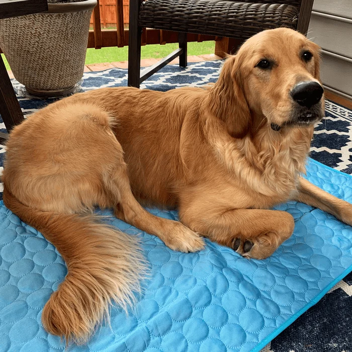 ES-FUN™ COOLING MAT