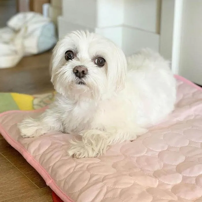 ES-FUN™ COOLING MAT