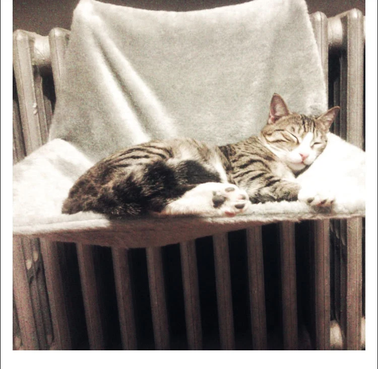 Cat Bed Comfortable Lounge Hammocks
