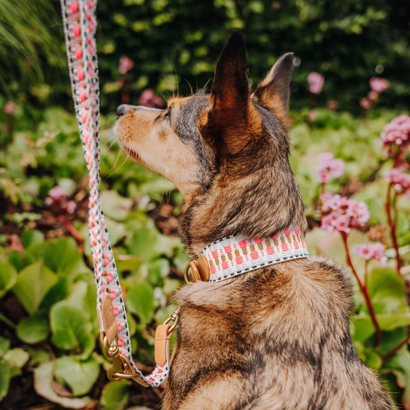Hundehalsband Pink & Sand