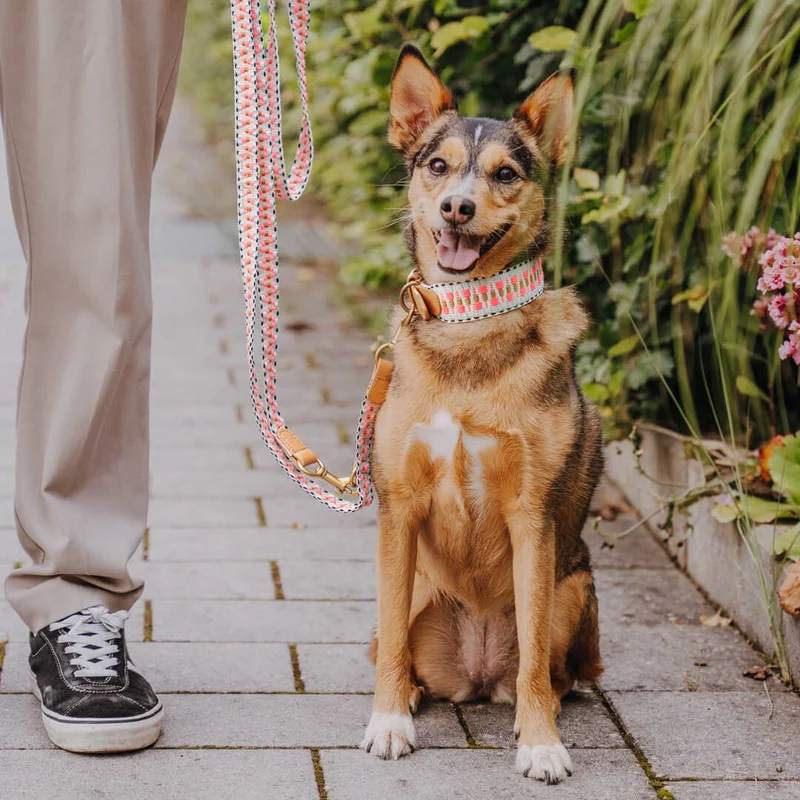 Hundehalsband Pink & Sand