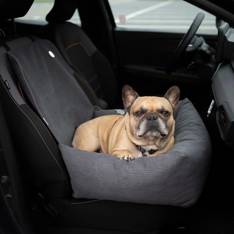 Autositz für Hunde CORD