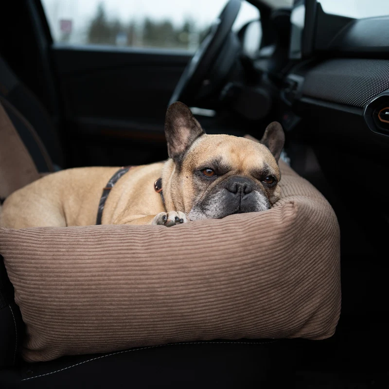 Autositz für Hunde CORD