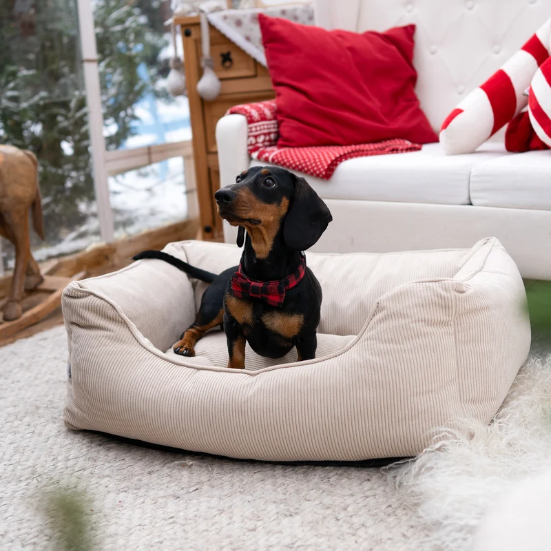 Orthopädisches Hundebett COMFY - Größe S