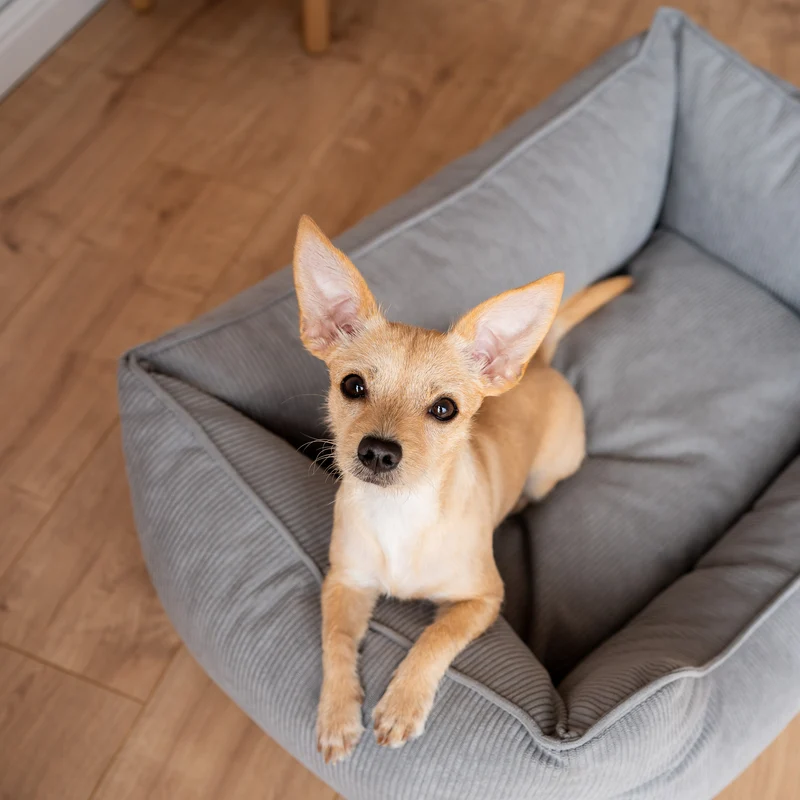 Orthopädisches Hundebett COMFY - Größe S
