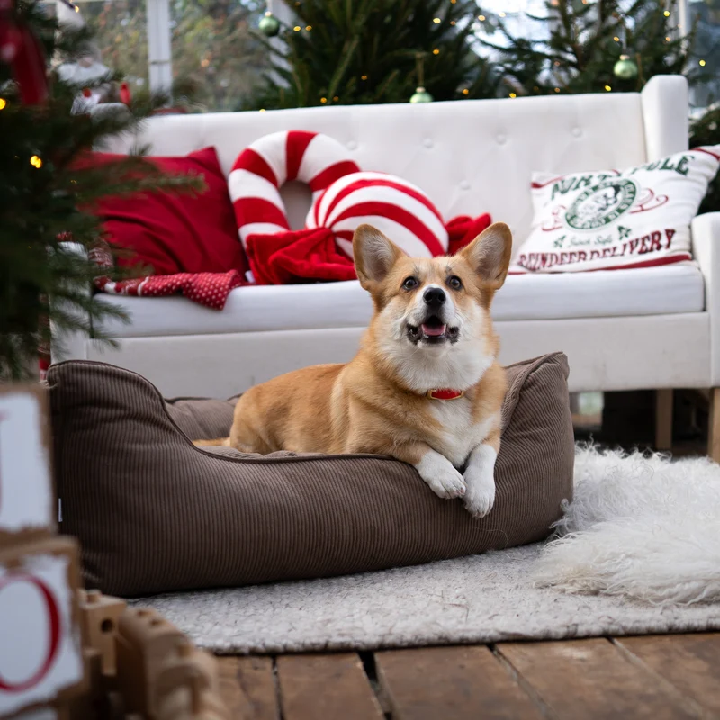 Orthopädisches Hundebett COMFY - Größe M