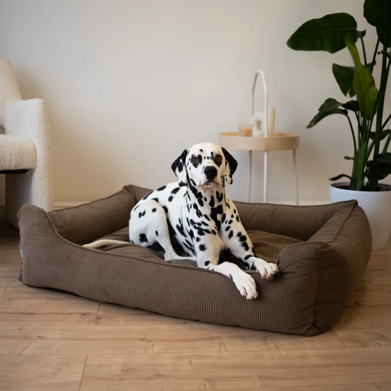 Orthopädisches Hundebett COMFY - Größe L