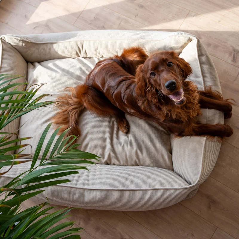 Orthopädisches Hundebett COMFY - Größe L
